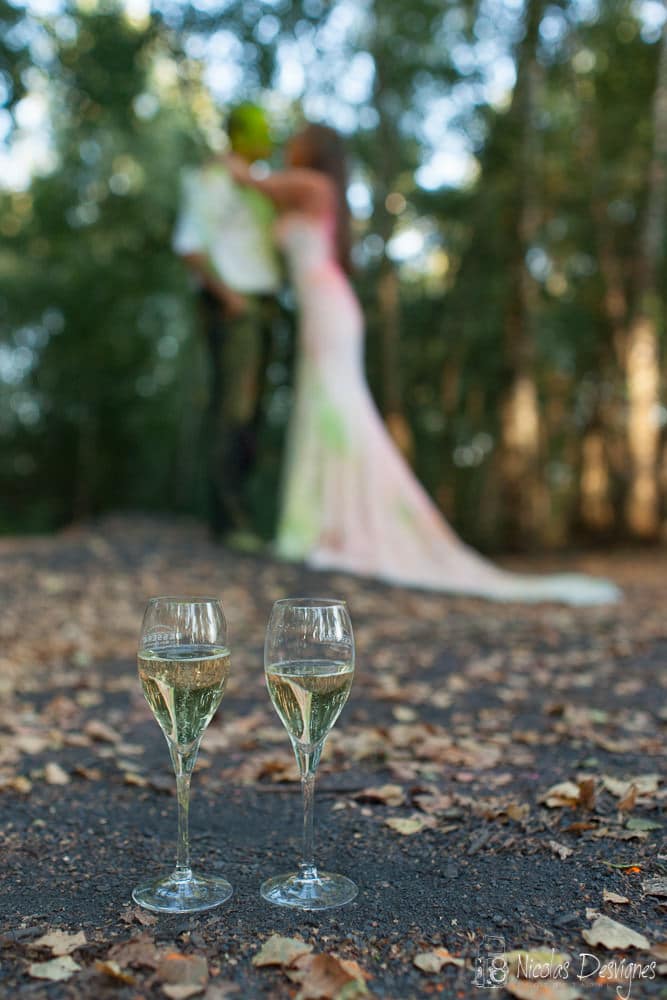 champage robe de mariée photographe mariage lille Nicolas Desvignes